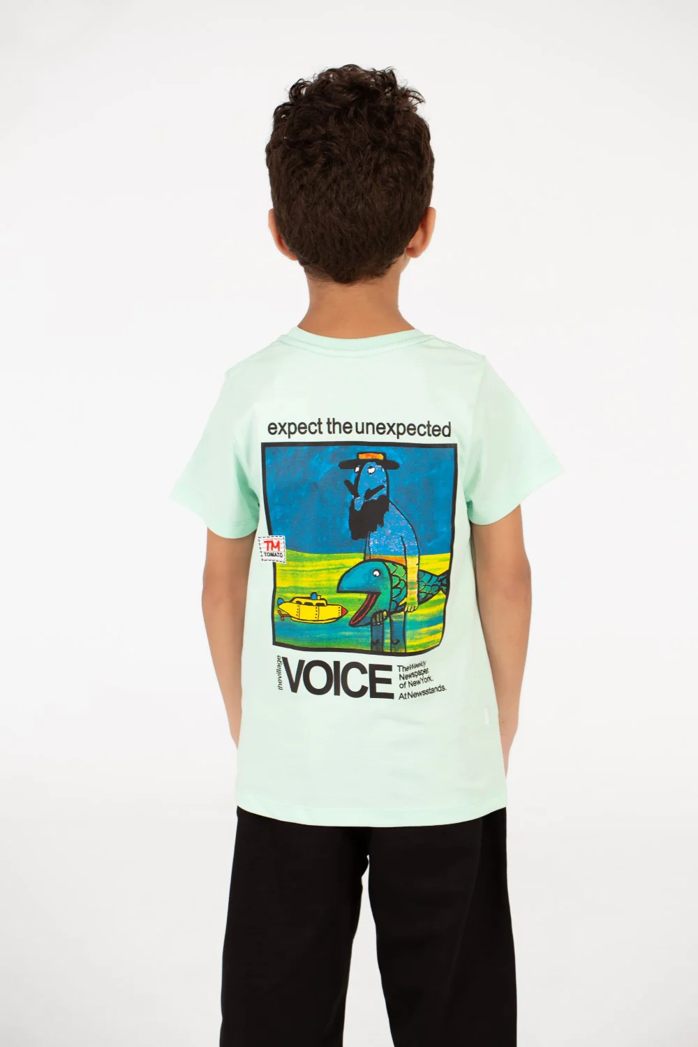 Boy’s Graphic Print Crew Neck Half Sleeve T-Shirt - Image 6