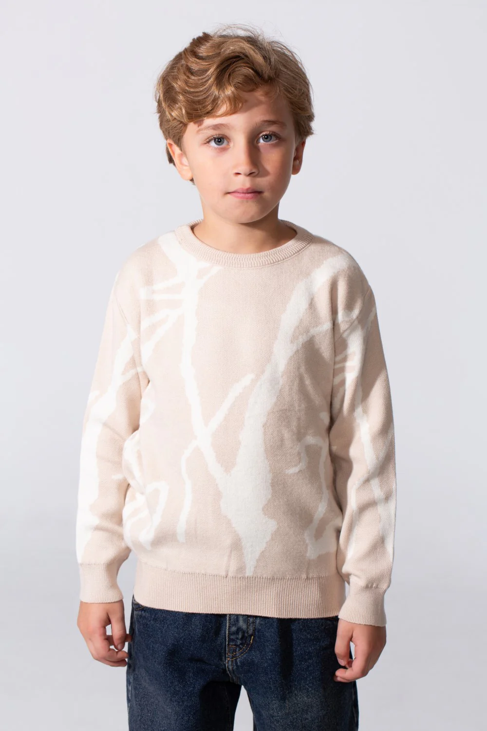 Boy's Printed Slim Fit Pullover With A Round Neck And Long Sleeves
