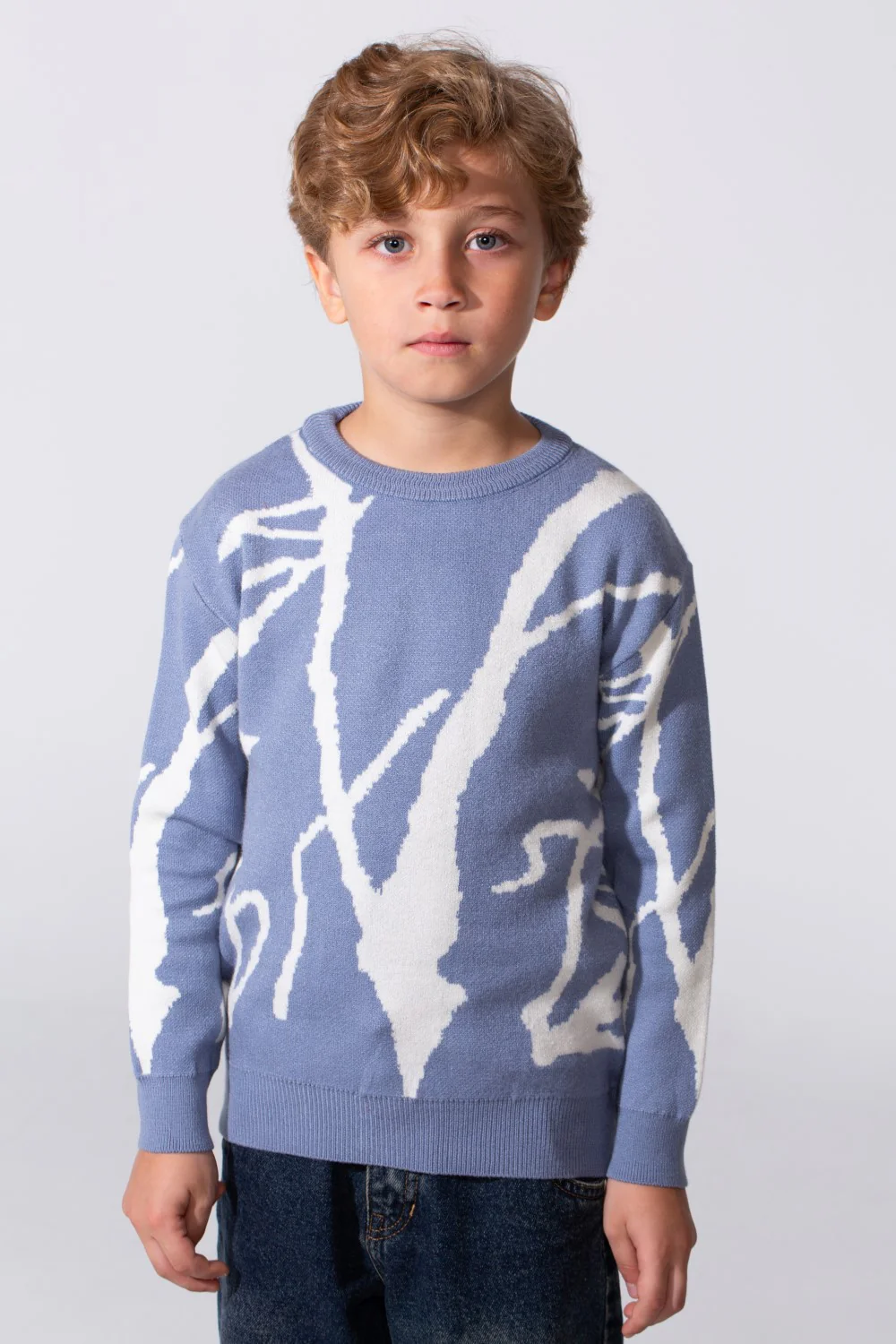 Boy's Printed Slim Fit Pullover With A Round Neck And Long Sleeves - Image 5