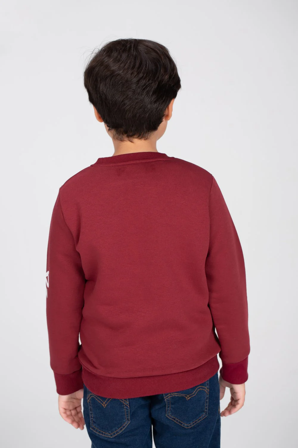 Boy's Regular Fit Made Of Comfort Melton Rounded Neck Padded Front Printed Sweatshirt - Image 2