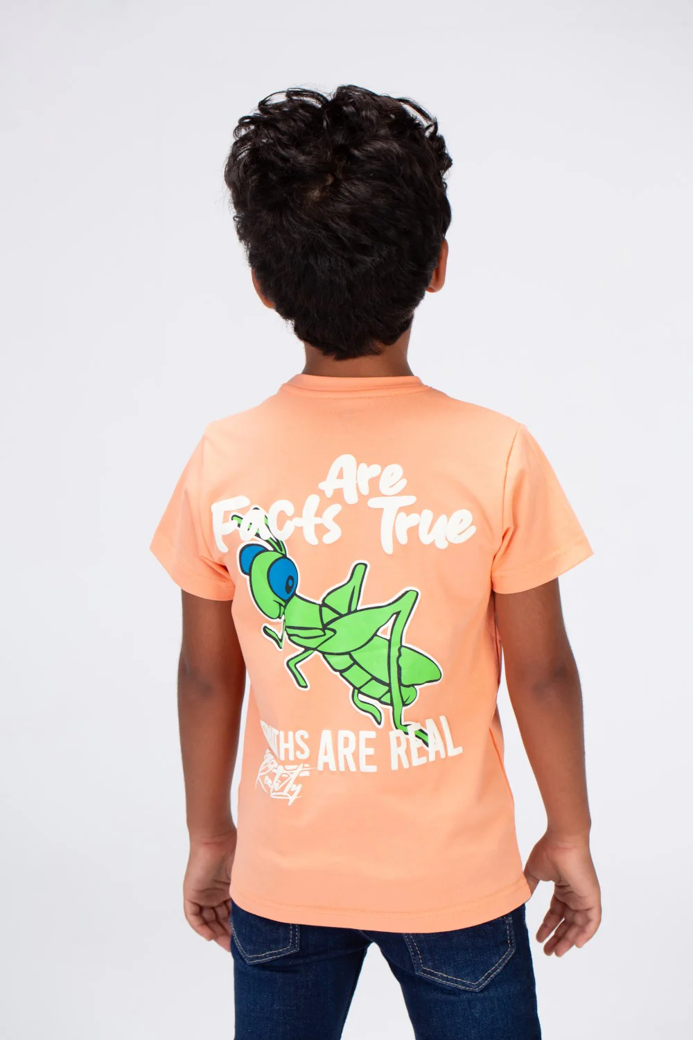 Boys Round Neck Half Sleeves T-shirt With Print On The Front And Back - Image 8