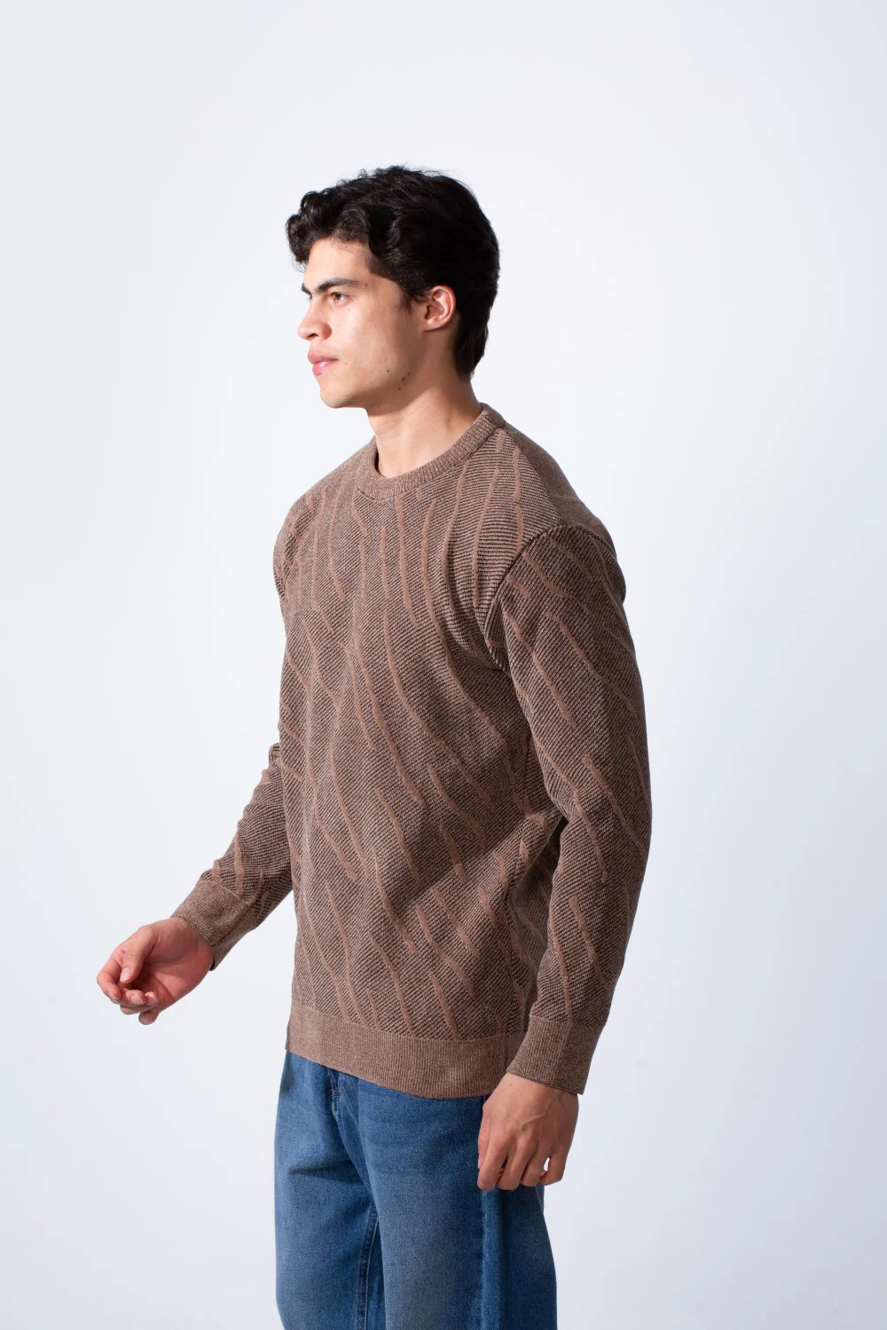 Men's Crew Neck Jakar Printed Slim Fit Comfortable Pullover - Image 12