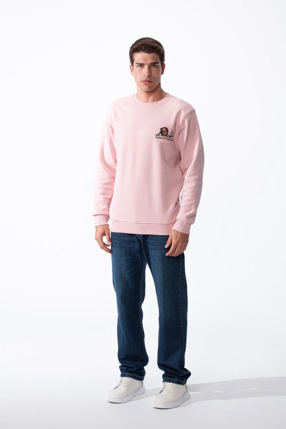 Men's Crewneck Sweatshirt With Playful Pack Embroidery Long Sleeves Slim Fit Everyday Wear Sweatshirt - Image 11
