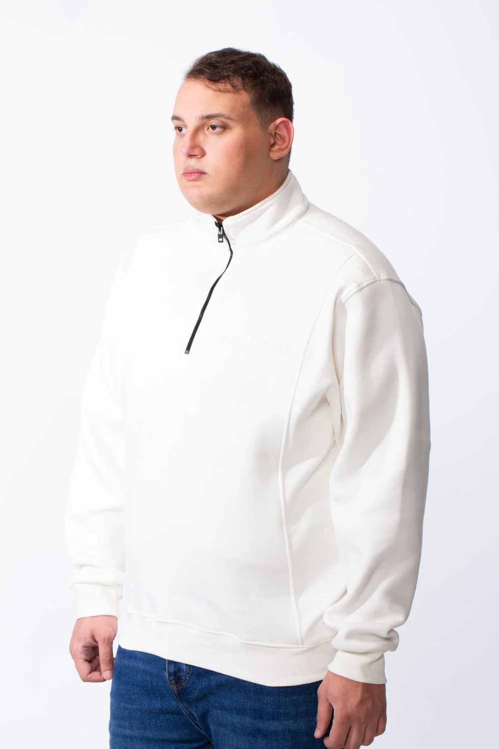 Men's Half Zip Big Size Back And Chest Text Print Melton Two Side Strip Sweatshirt - Image 12