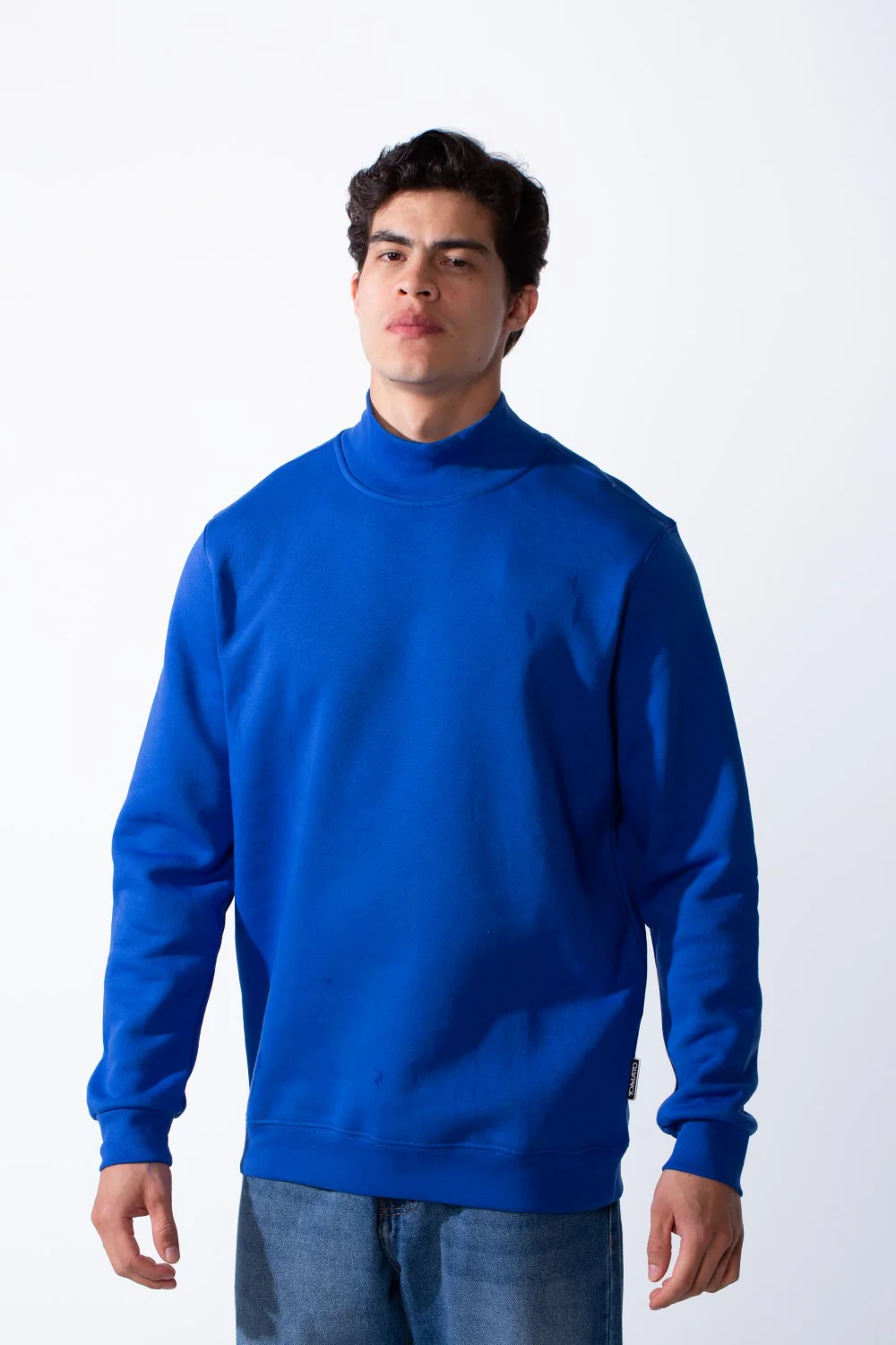 Men's High Neck Slim Fit Basic Long Sleeve Daily Wear Sweatshirt