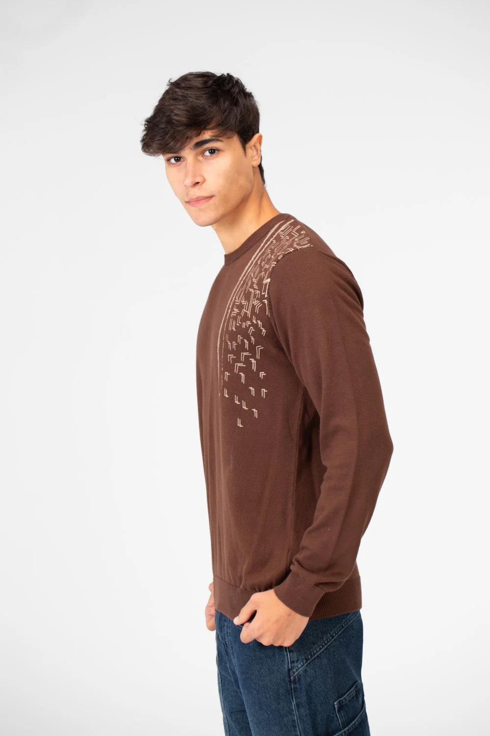 Men's Printed Cotton Round Neck Pullover With A Distinctive Design - Image 7