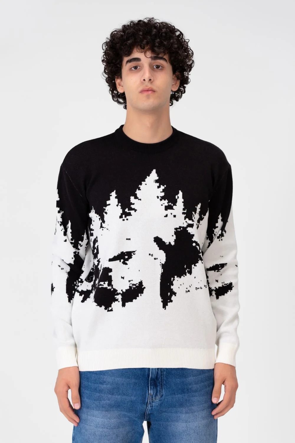 Men's Printed Crew Neck Regular Fit Pullover - Image 4
