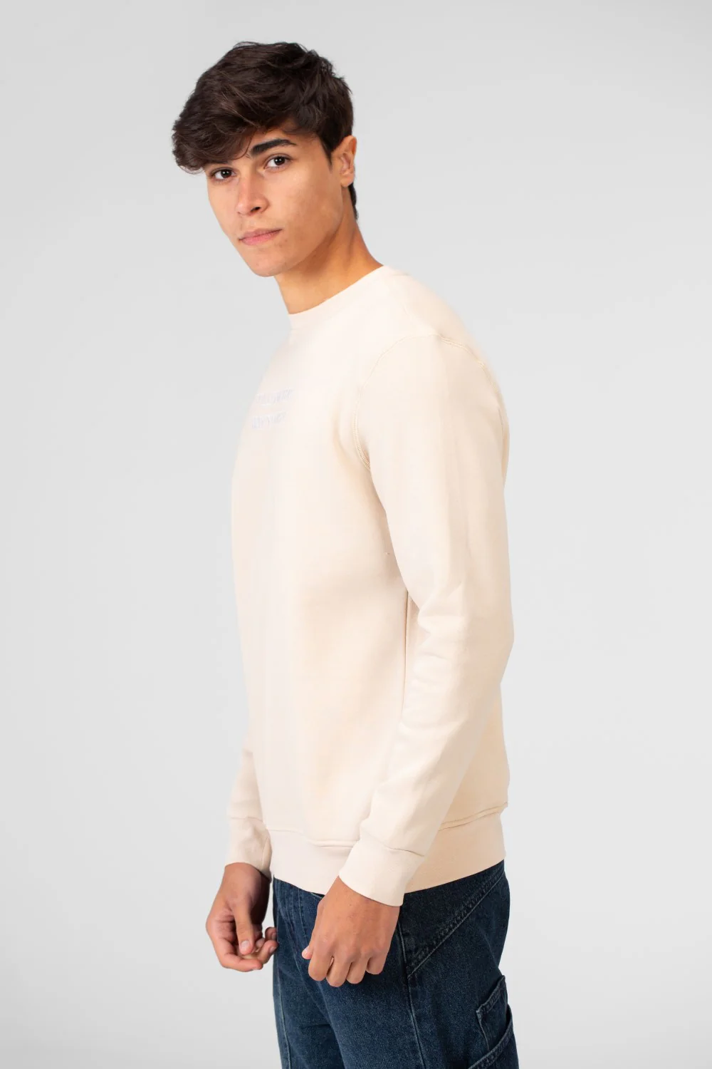 Men's Printed Crew Neck Sweatshirt - Image 3