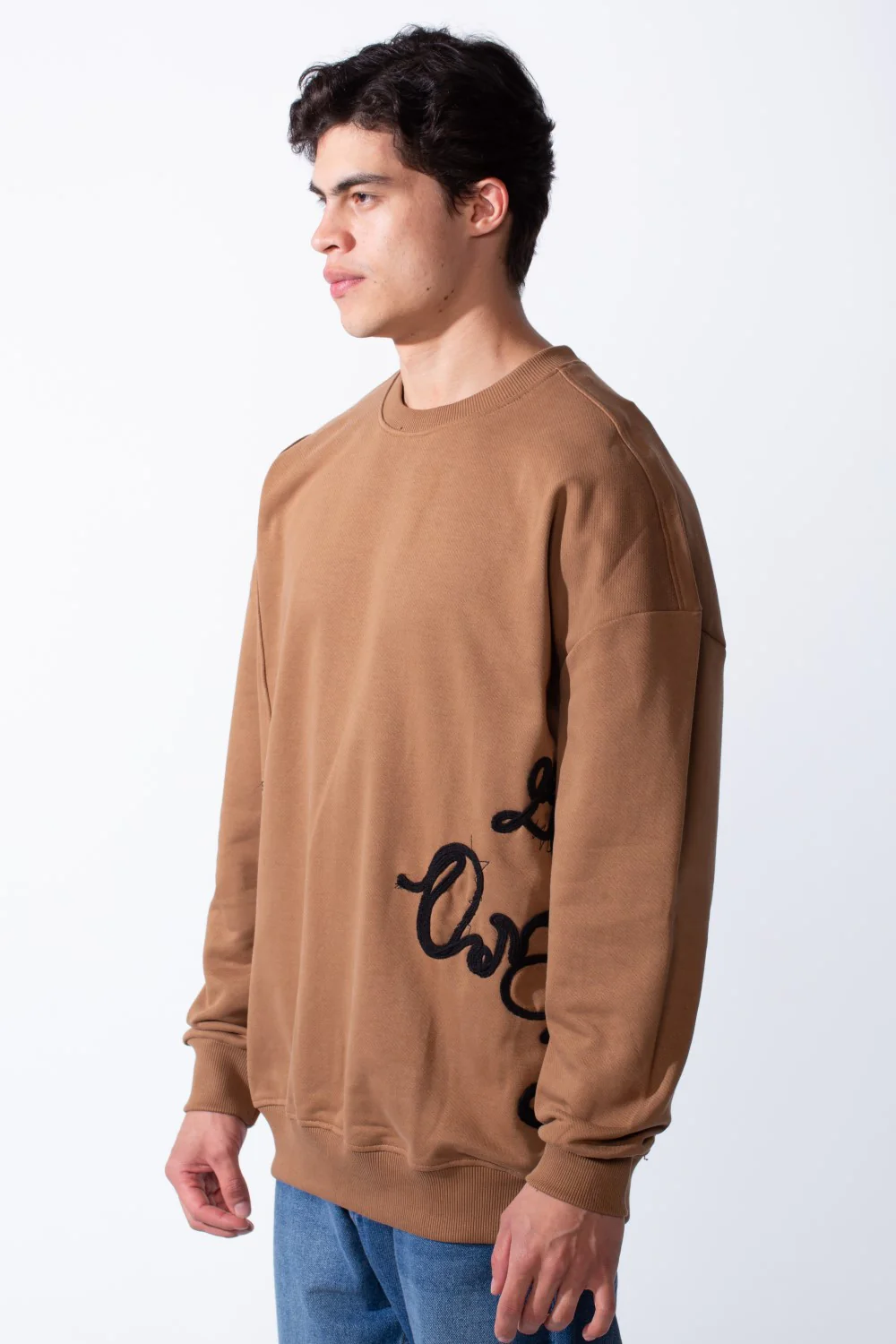 Men's Regular Fit Side Pattern Long Sleeve Crew Neckline Melton Fabric Daily Wear Sweatshirt - Image 4