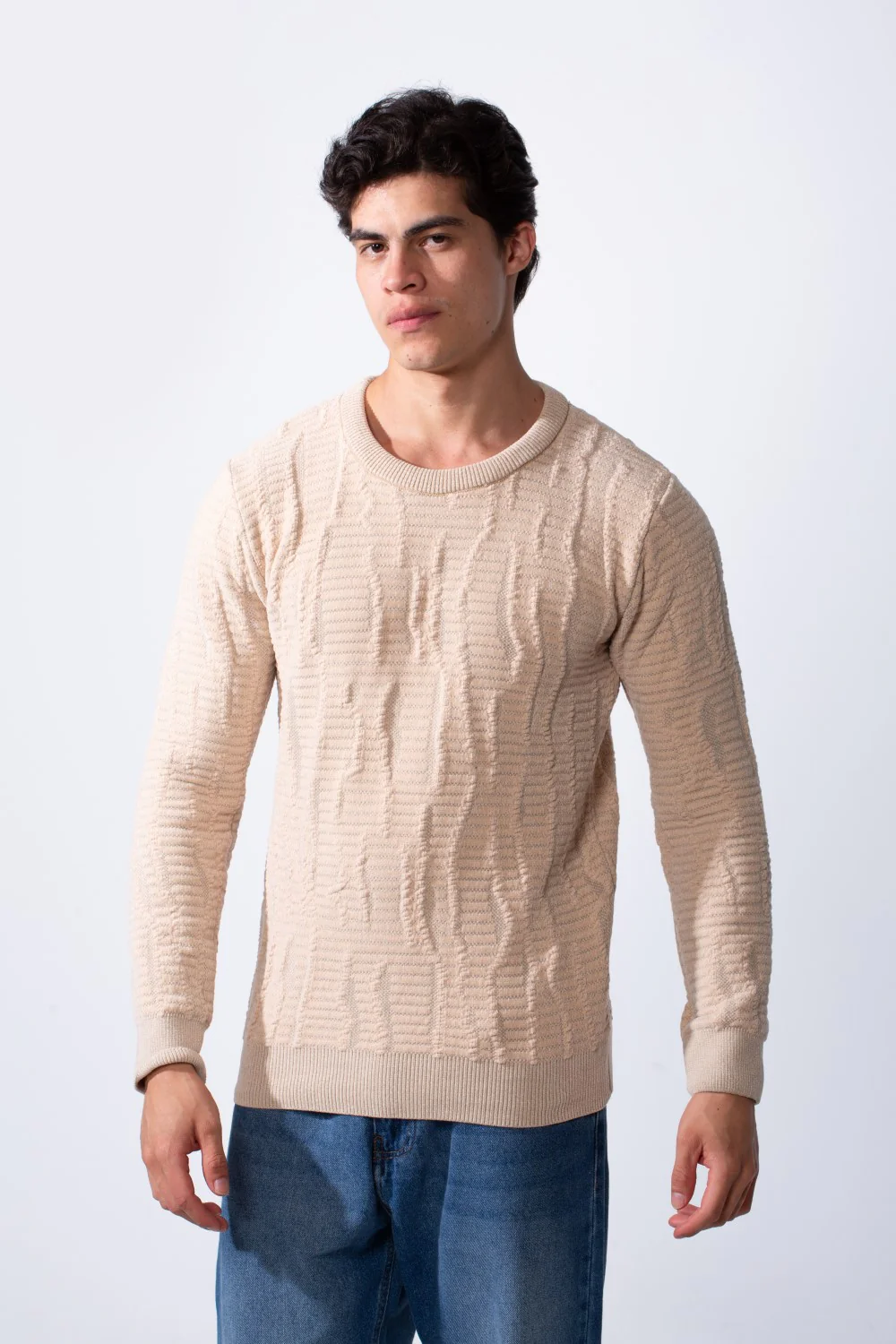 Men's Round Neck Slim Fit Soft Textured Knitted Pullover