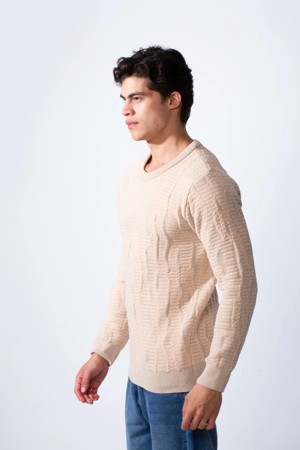 Men's Round Neck Slim Fit Soft Textured Knitted Pullover - Image 4