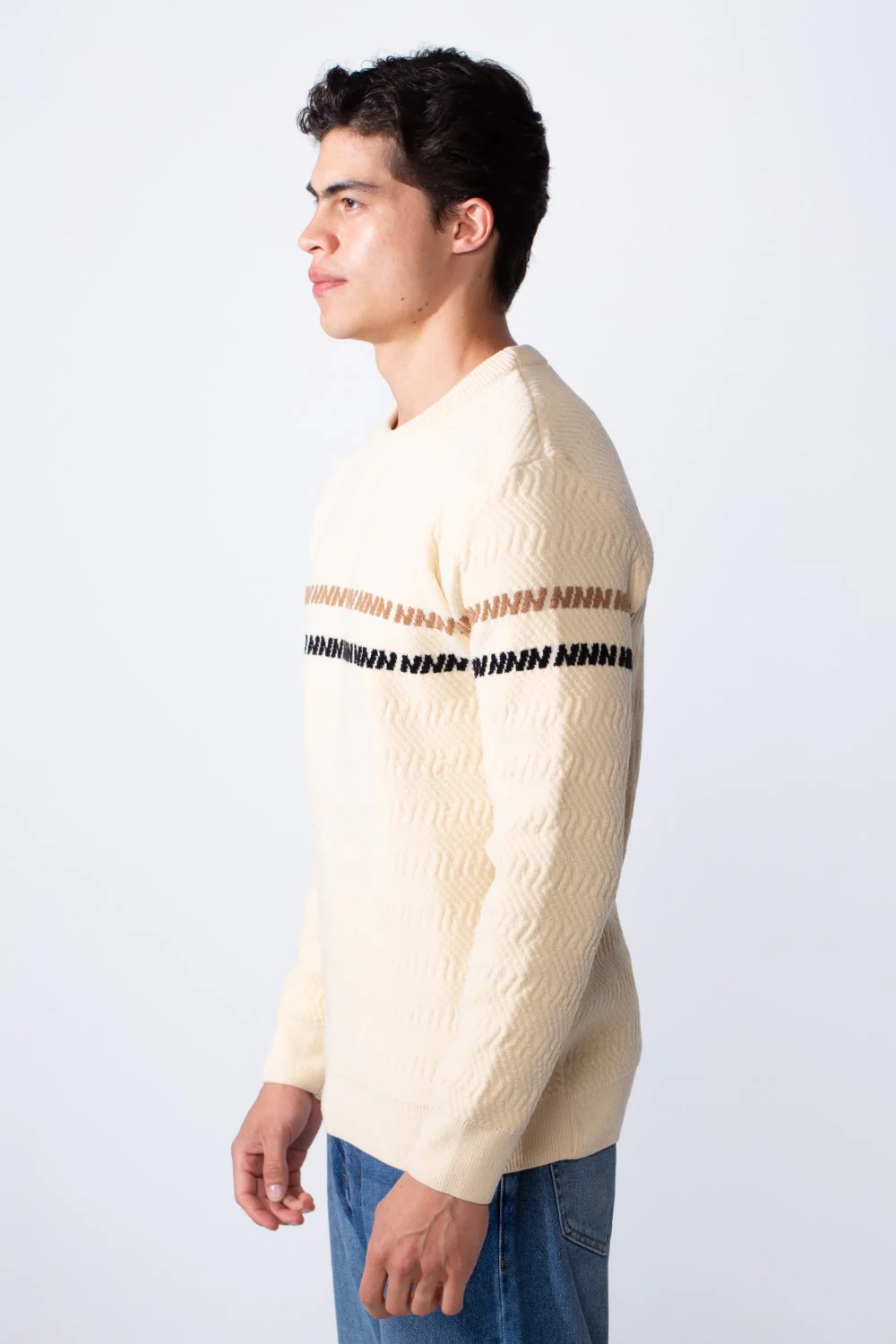 Men's Round Neck Slim Fit Textured Striped Daily Wear Pullover - Image 8