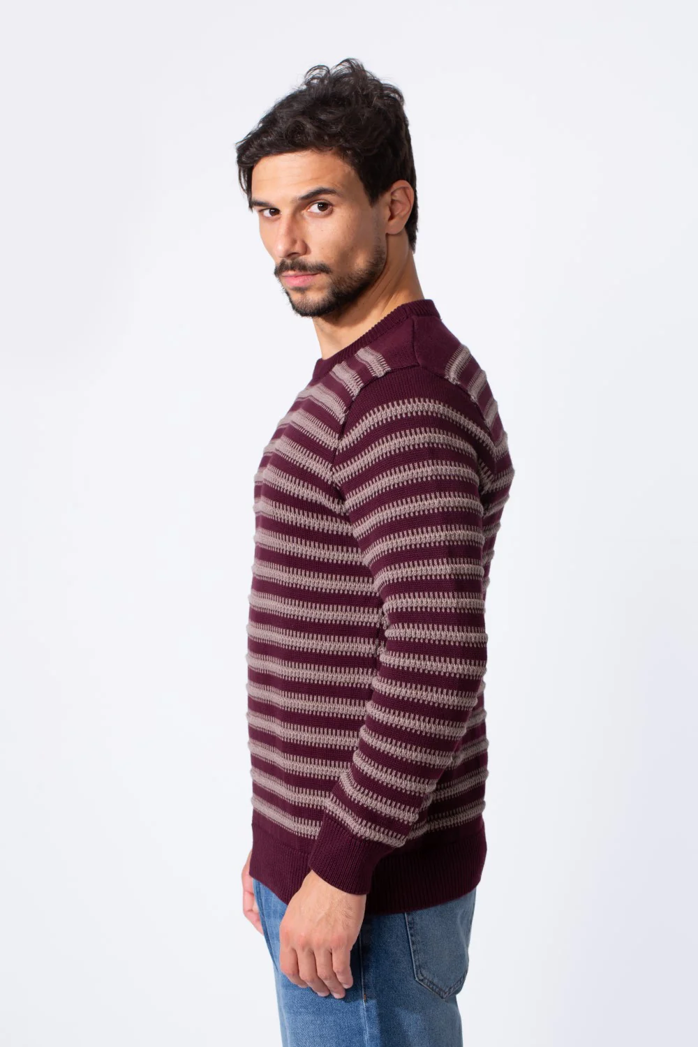 Men's Striped Cotton Slim Fit Pullover With Round Neck And Long Sleeves - Image 11